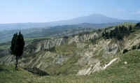 Crete Senesi of the Val d'Orcia